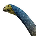 Mamenchisaurus jingyanensis