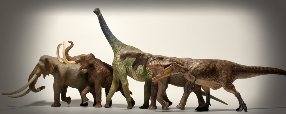Straight Tusked Elephant Palaeoloxodon Non Dinosaur Eofauna Woolly Mammoth 